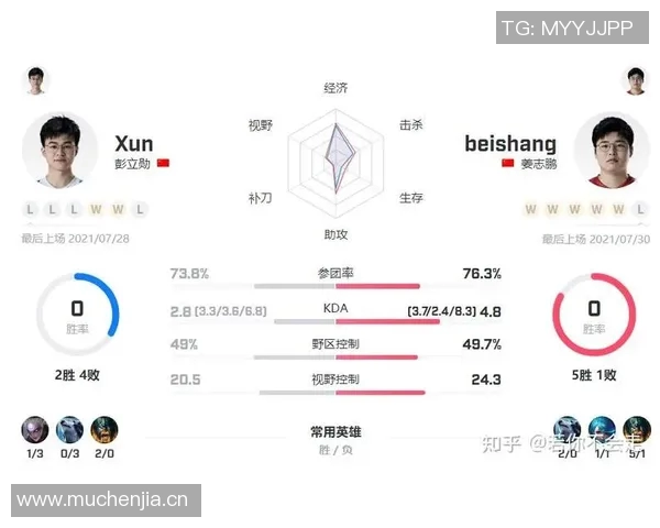 WE战队个人能力深度分析与战术影响探讨